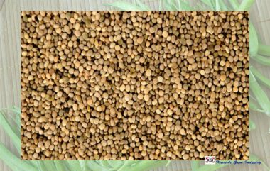 Guar Seeds